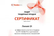 О вручении сертификата «Лидер тендерных продаж» 2025 в Кемерове 